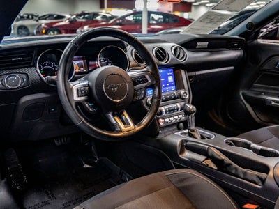 2022 Ford Mustang EcoBoost