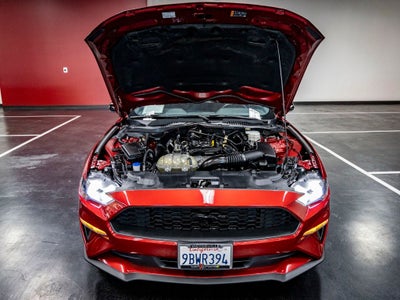 2022 Ford Mustang EcoBoost
