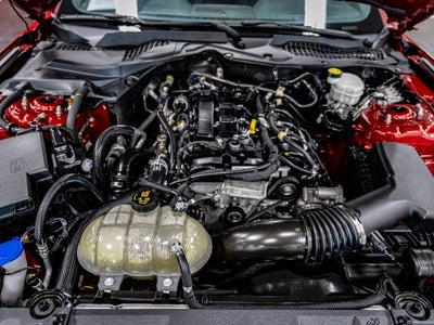 2022 Ford Mustang EcoBoost