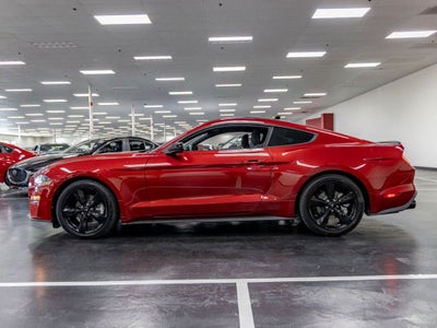 2022 Ford Mustang EcoBoost